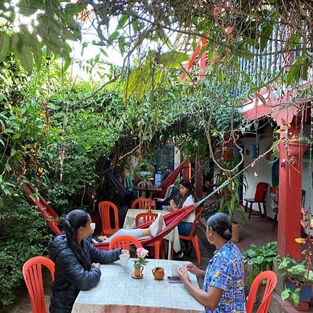 فيلا دي ليفا Beija Flor Hostel المظهر الخارجي الصورة