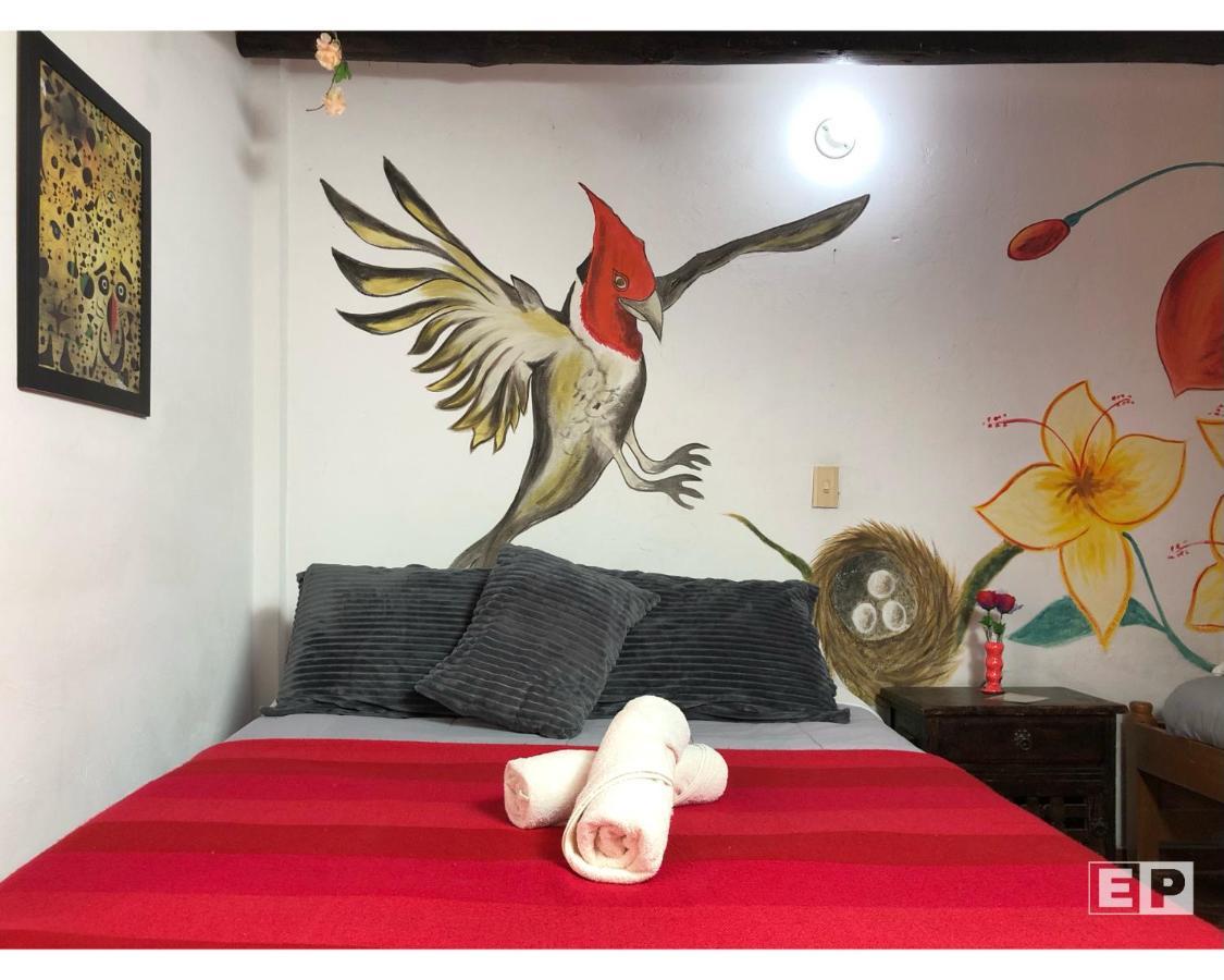 فيلا دي ليفا Beija Flor Hostel المظهر الخارجي الصورة