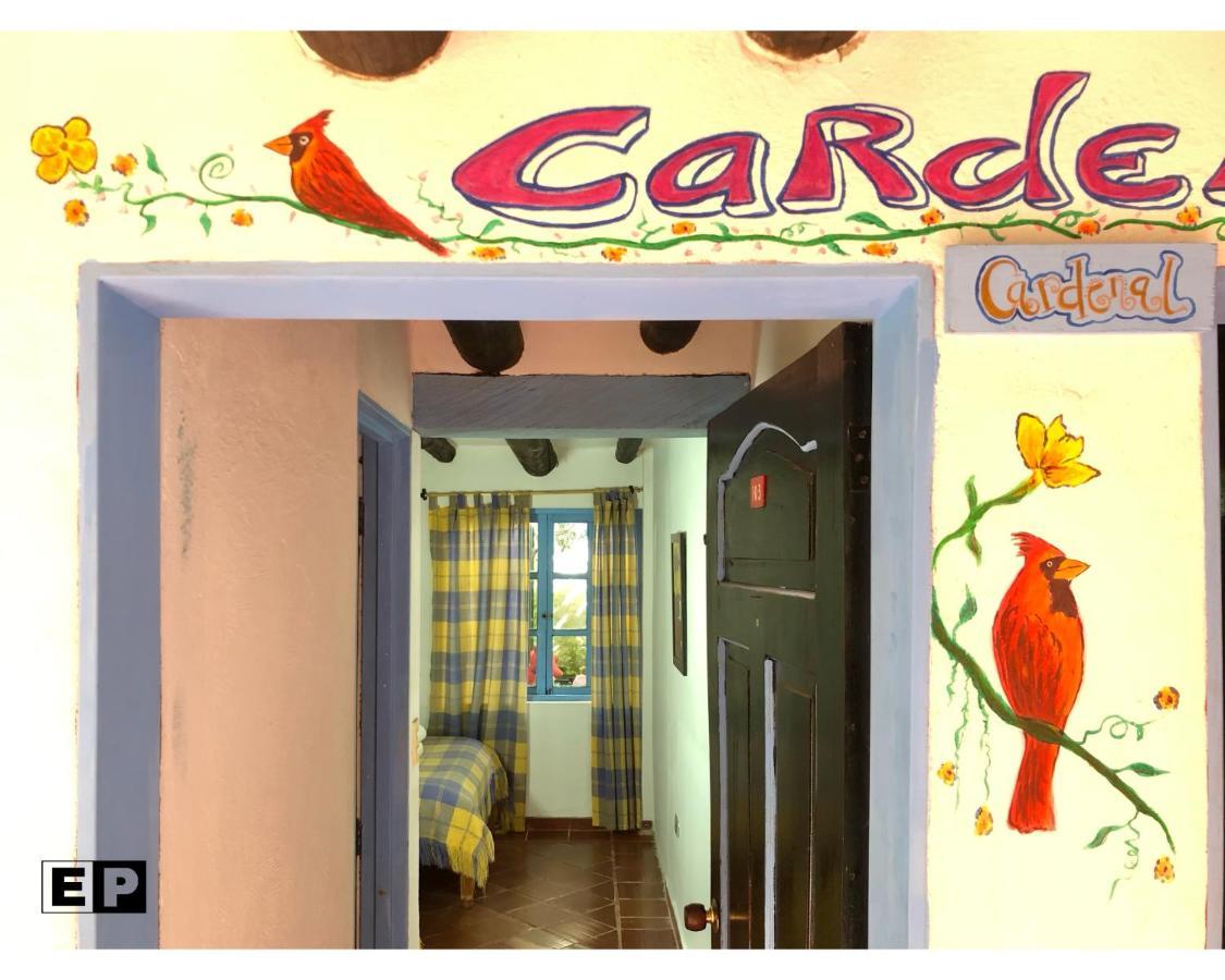 فيلا دي ليفا Beija Flor Hostel المظهر الخارجي الصورة