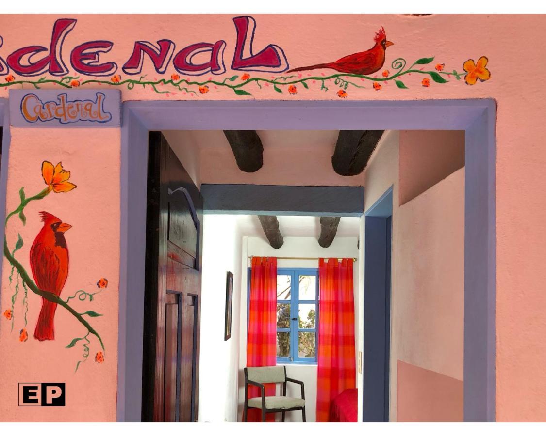 فيلا دي ليفا Beija Flor Hostel المظهر الخارجي الصورة