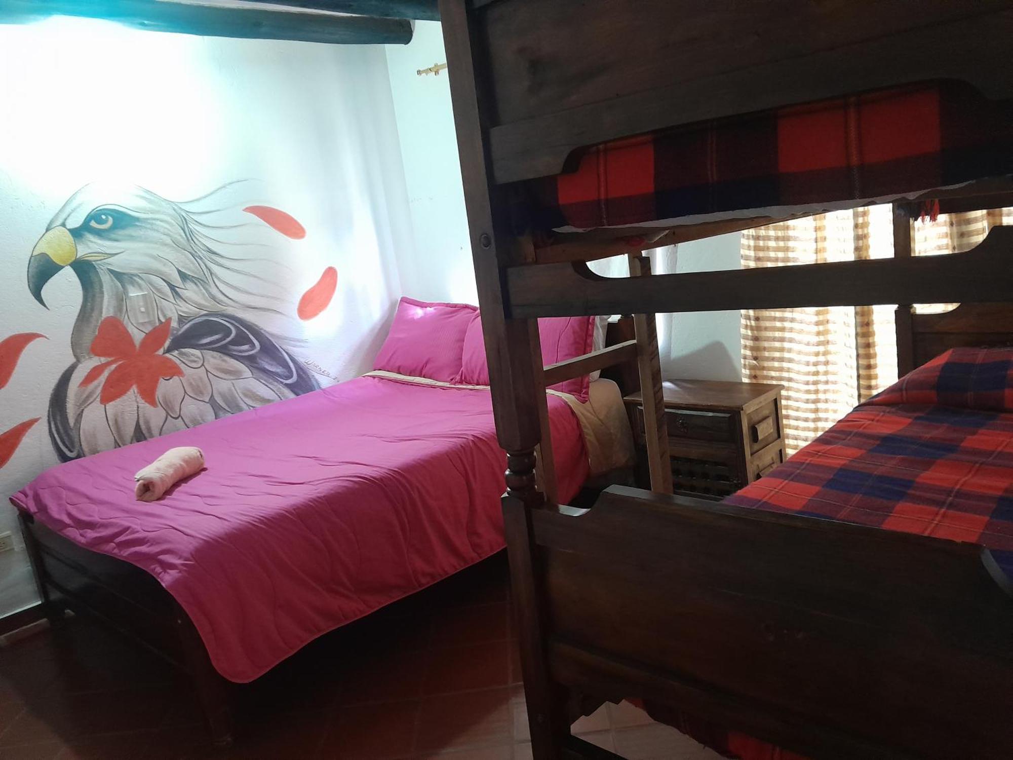 فيلا دي ليفا Beija Flor Hostel المظهر الخارجي الصورة