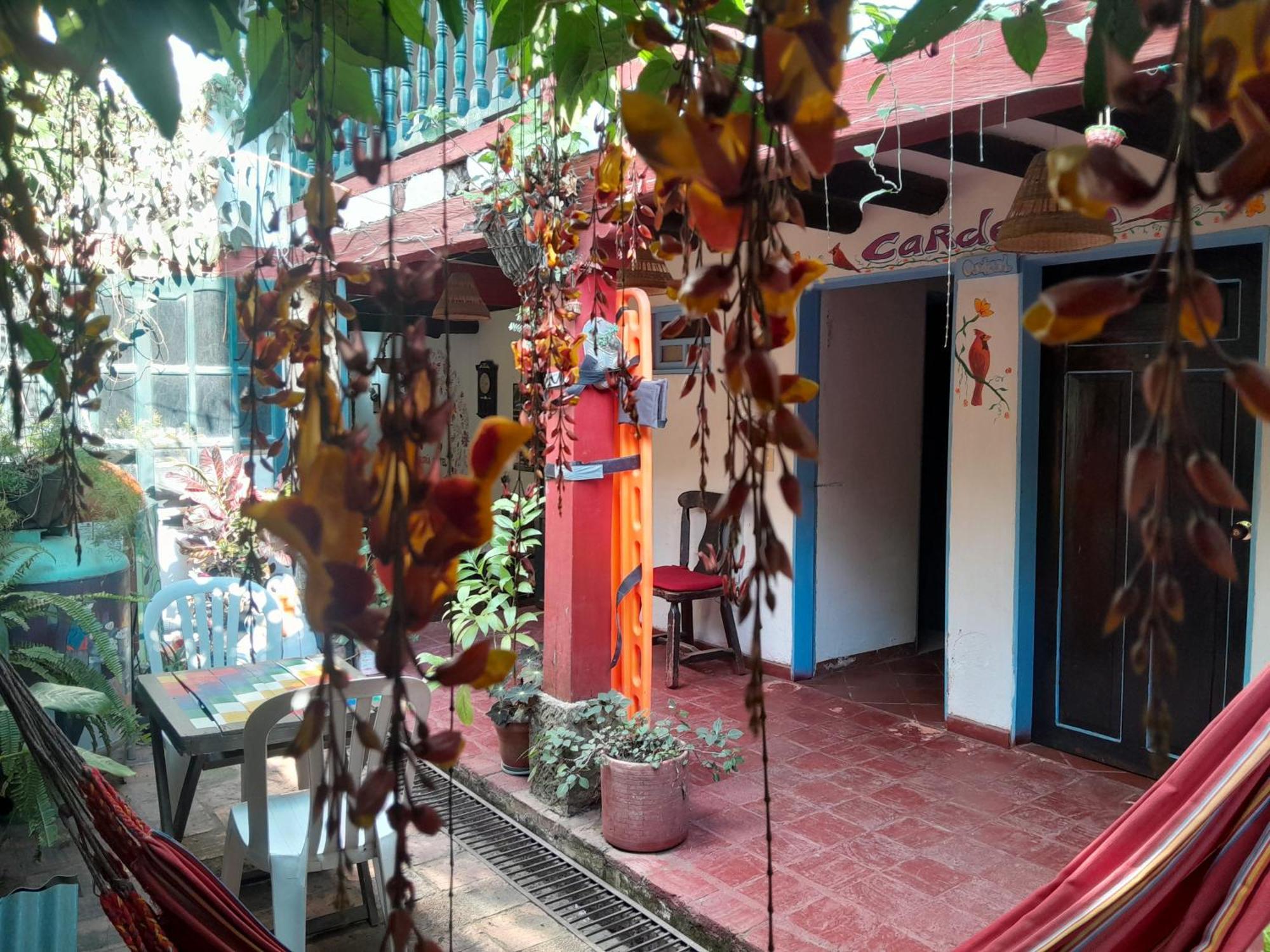 فيلا دي ليفا Beija Flor Hostel المظهر الخارجي الصورة