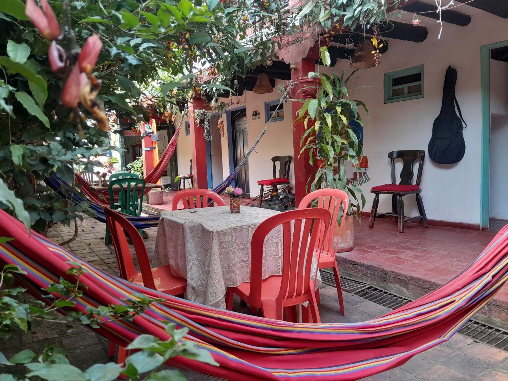 فيلا دي ليفا Beija Flor Hostel المظهر الخارجي الصورة